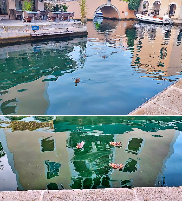 3 petits canards dans Port Grimaud