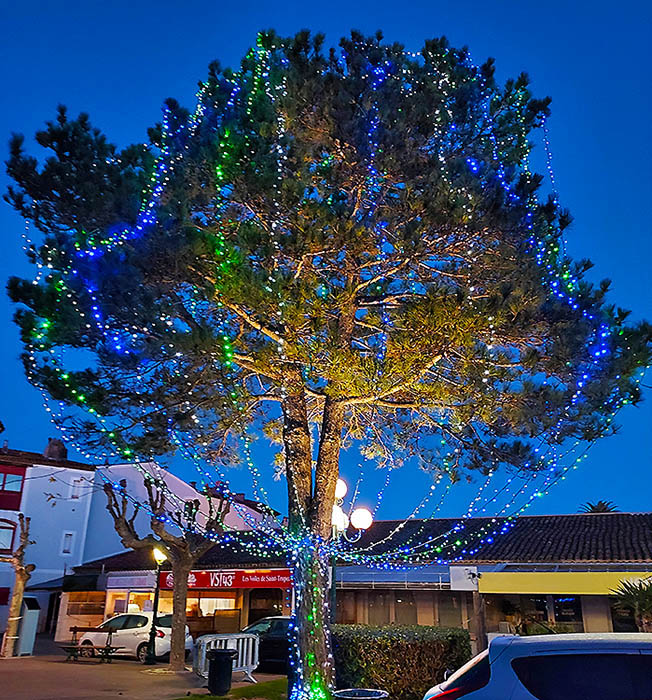 D�co de No�l  � PORT GRIMAUD