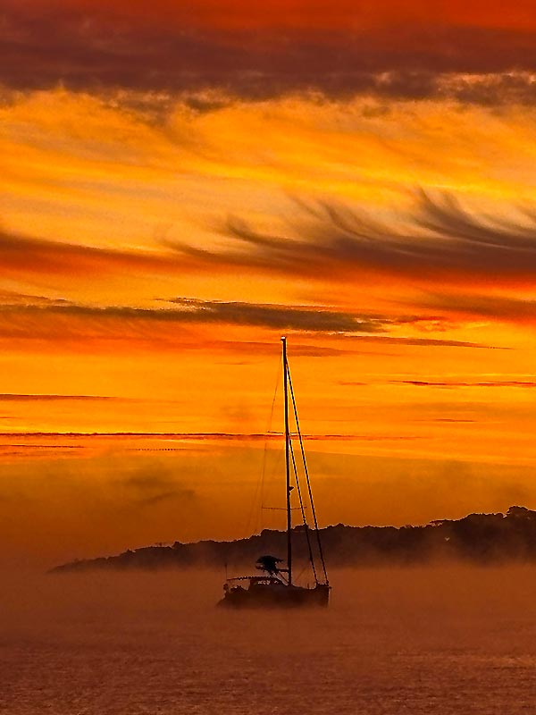 Miracle de la nature  PORT GRIMAUD