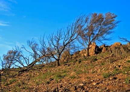 Le Cap TAILLAT