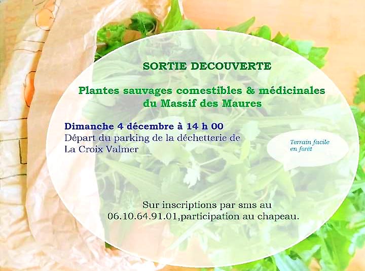 Sortie dcouverte