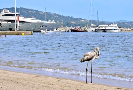 Photo parue de le Var Matin  du jeudi 31 aout 2017