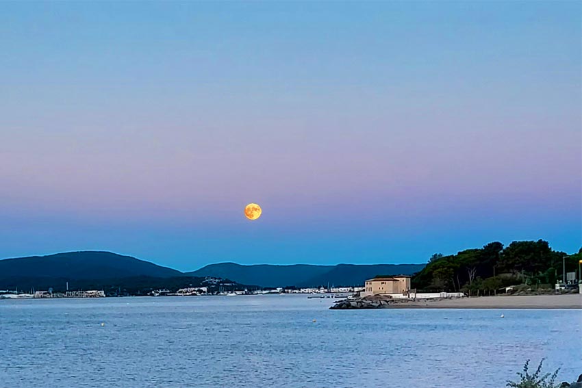 Lune du cerf sur PORT GRIMAUD