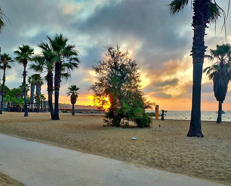 Plage de rve  PORT GRIMAUD