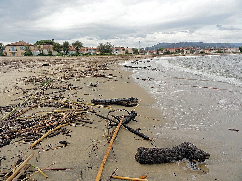 Plage de Port Grimaud