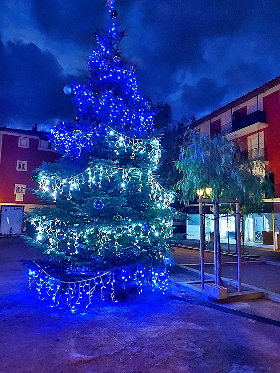 Le sapin place du March� � Port Grimaud