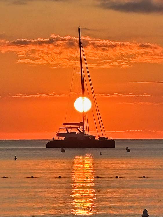 Soleil  PORT GRIMAUD