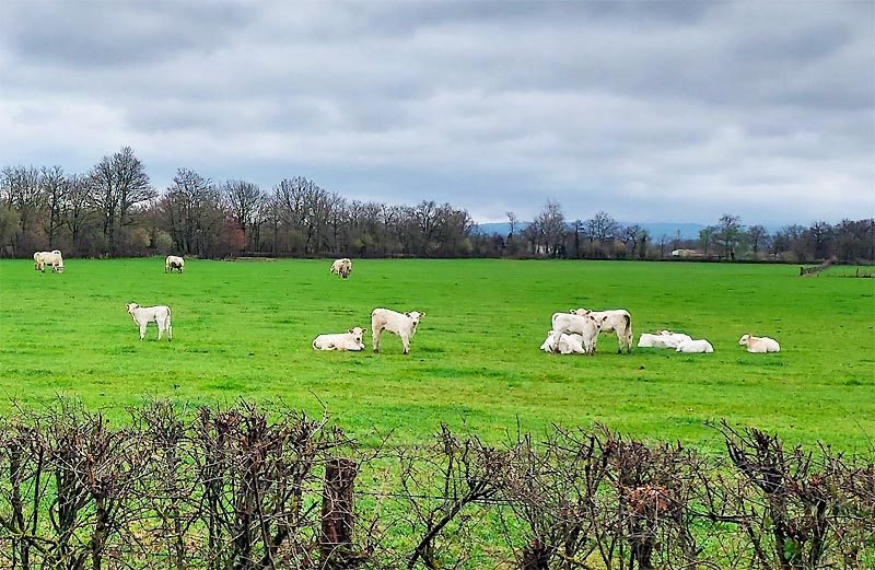 La campagne