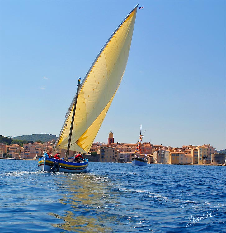 Voiles latines a Saint Tropez