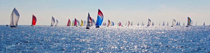 Lrs Voiles de Saint Tropez