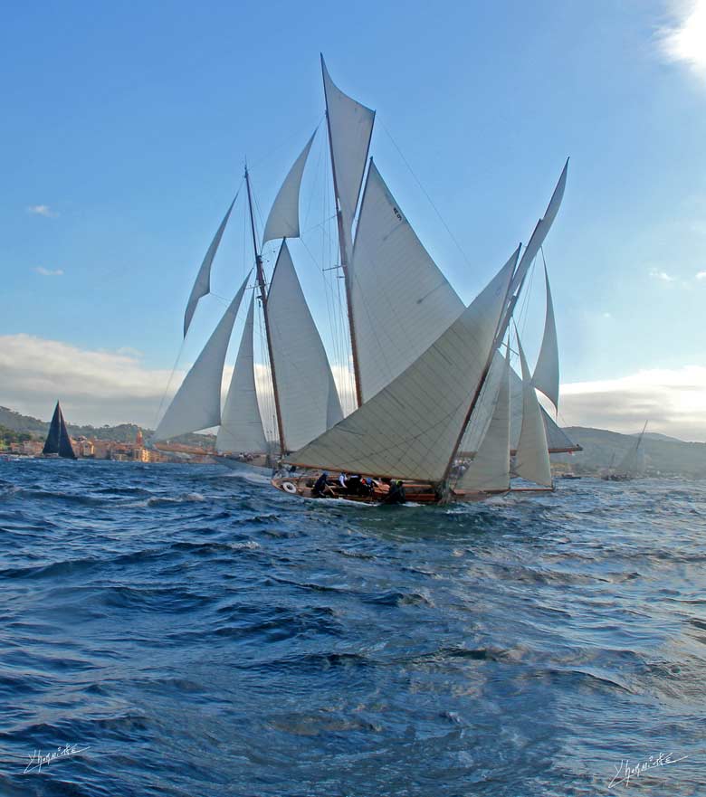 Voiles 2015