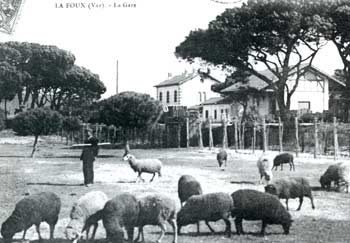 La gare de La Foux