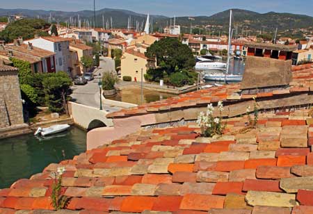 fleurs sur toit a port grimaud