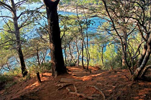 Sentier littoral Cap Lardier