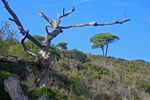 Sentier littoral Cap Lardier