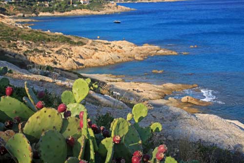 Sentier littoral Cap Lardier