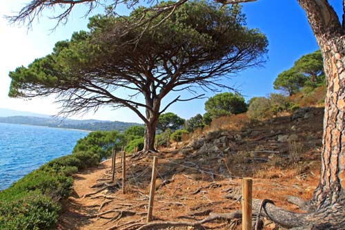 Sentier littoral Cap Lardier