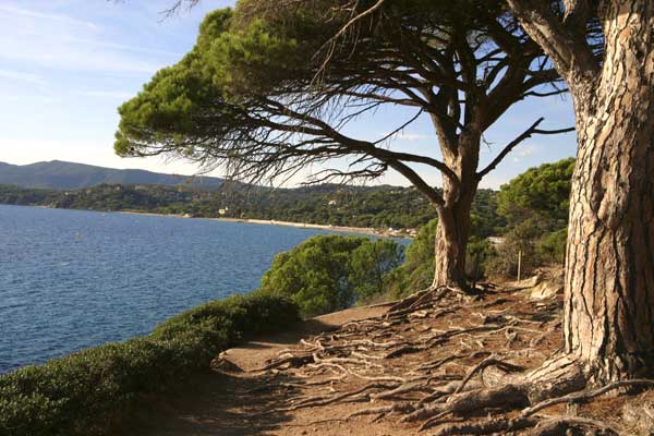 Sentier littoral Cap Lardier