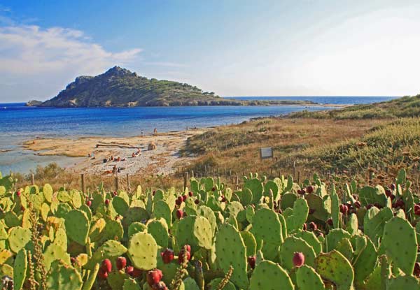 Sentier littoral Cap Lardier