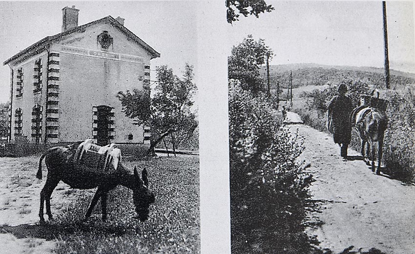 un ane pour acheminer le courrier du village  la gare de Gassin